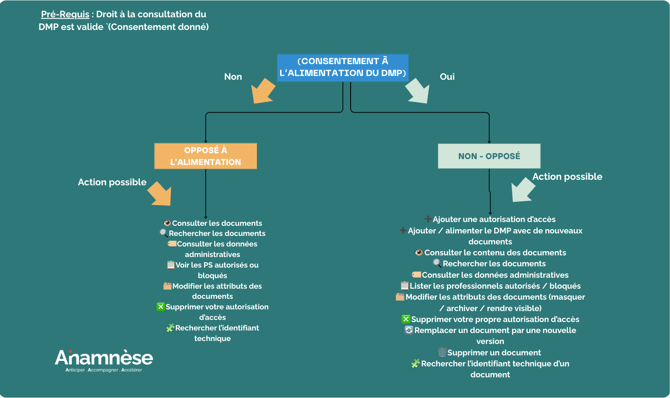 schema-visuel-citana-dmp-alimentation-1